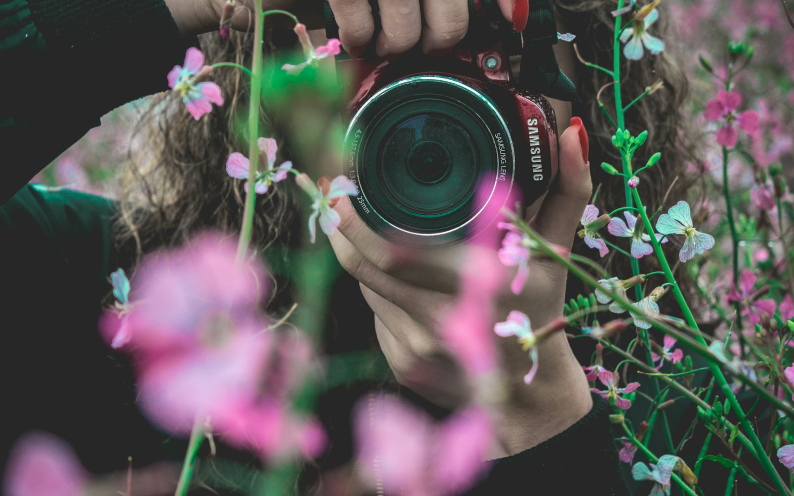 Regard et composition : construire une série de six images